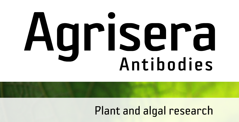 Agrisera MicroRNA相關(guān)研究植物蛋白抗體火熱促銷中！